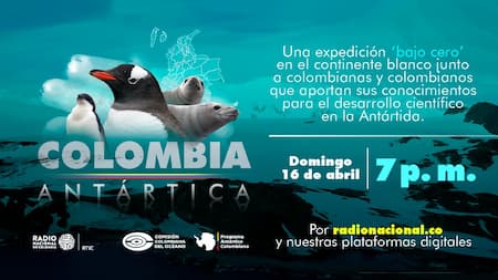 Lee más sobre el artículo ¡Colombia Antártica! Sumérgete en esta expedición ‘bajo cero’