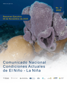 Lee más sobre el artículo Resumen Ejecutivo ERFEN – Comunicado No 11 – 2025