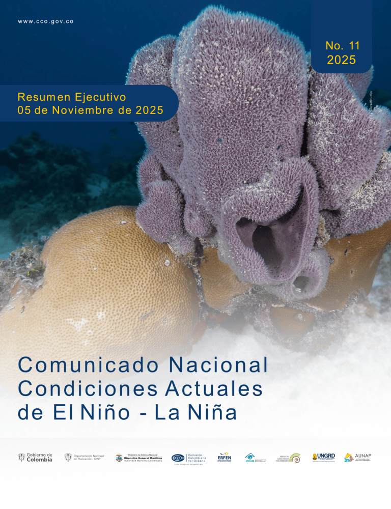 Lee más sobre el artículo Resumen Ejecutivo ERFEN – Comunicado No 11 – 2025