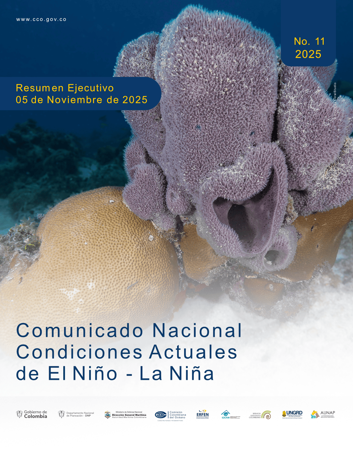 Resumen Ejecutivo ERFEN – Comunicado No 11 – 2025