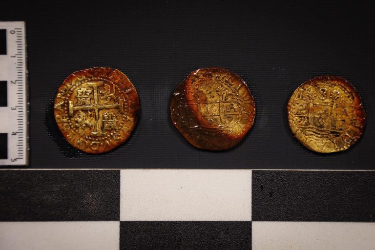 Lee más sobre el artículo Los objetos arqueológicos recolectados del área del galeón San José entraron en proceso de conservación