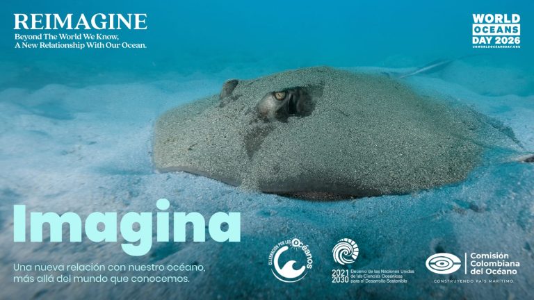 Lee más sobre el artículo Colombia se une al llamado global por la protección de los océanos