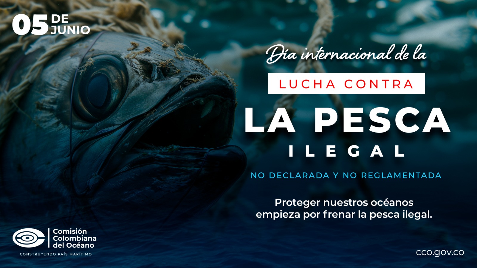 Colombia conmemora el Día Internacional contra la Pesca Ilegal, no Declarada, no Reglamentada reafirmando su compromiso con la pesca sostenible