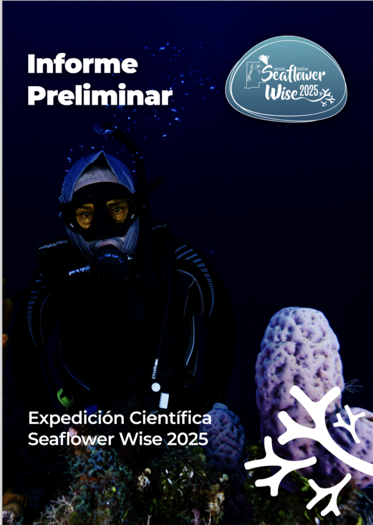 Lee más sobre el artículo Expedición Científica Seaflower Wise 2025